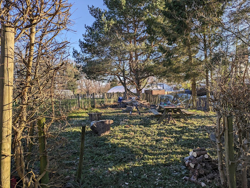 Photo showing the Forest School area on the academy grounds.